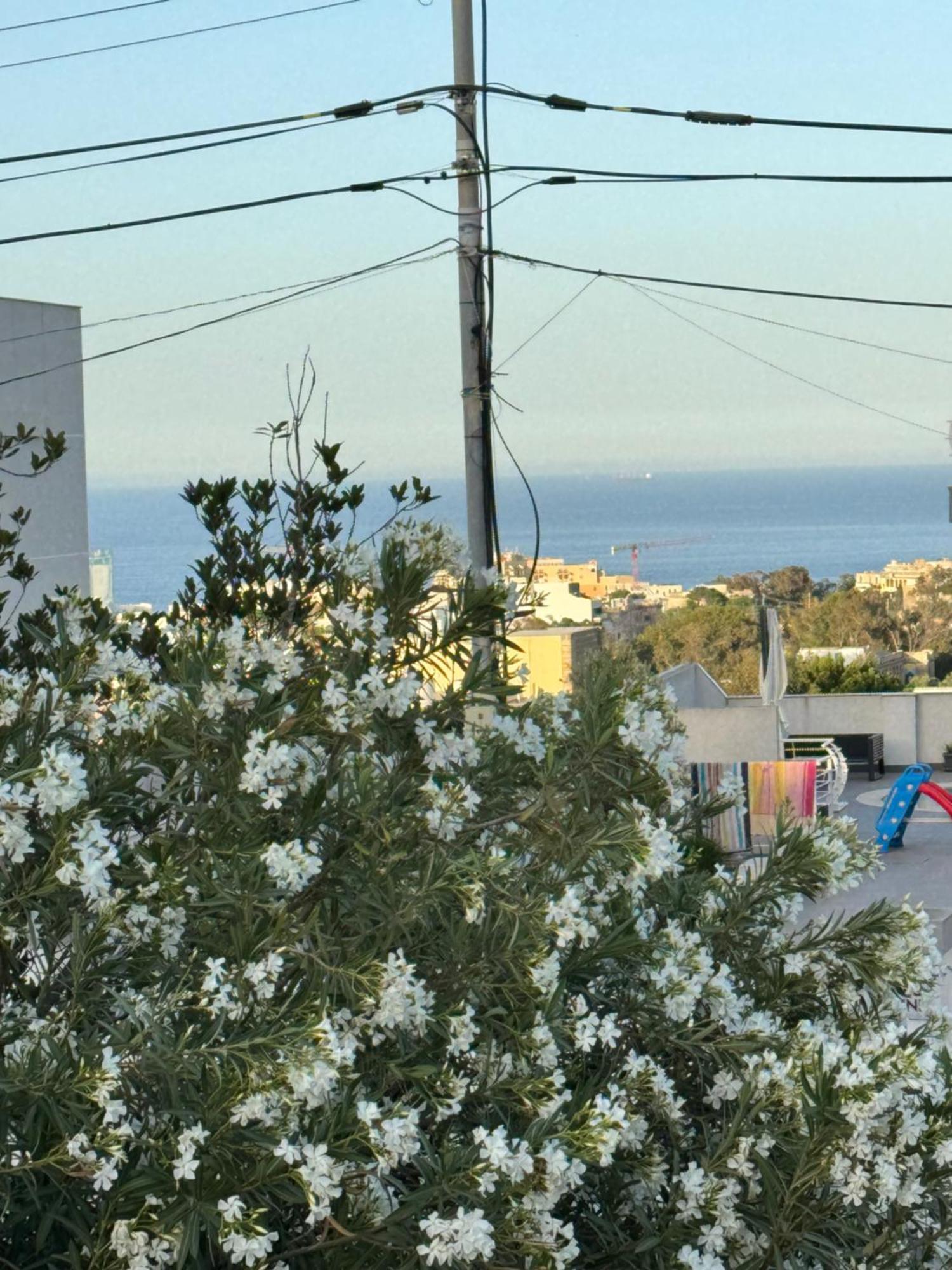 Villa Xiwan Is-Swieqi Kültér fotó